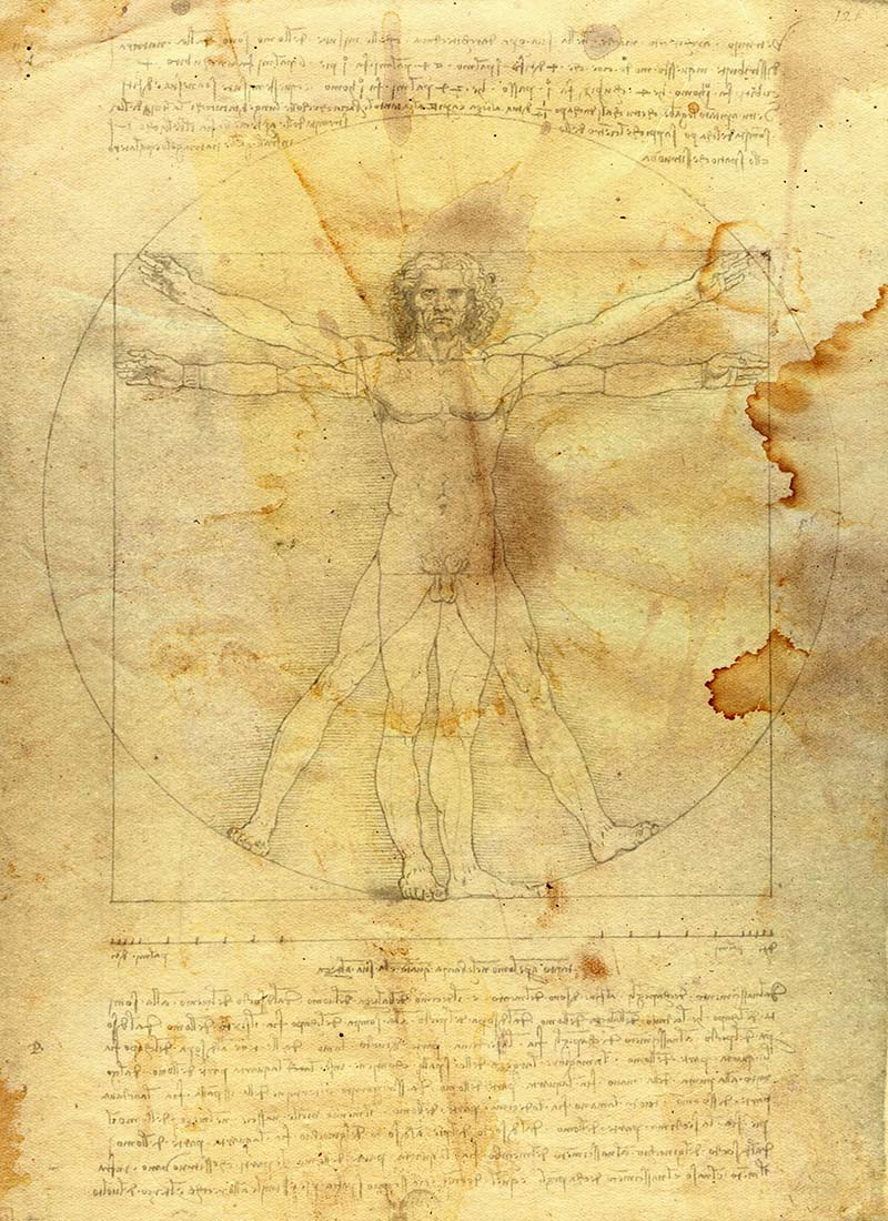 homme-de-Vitruve